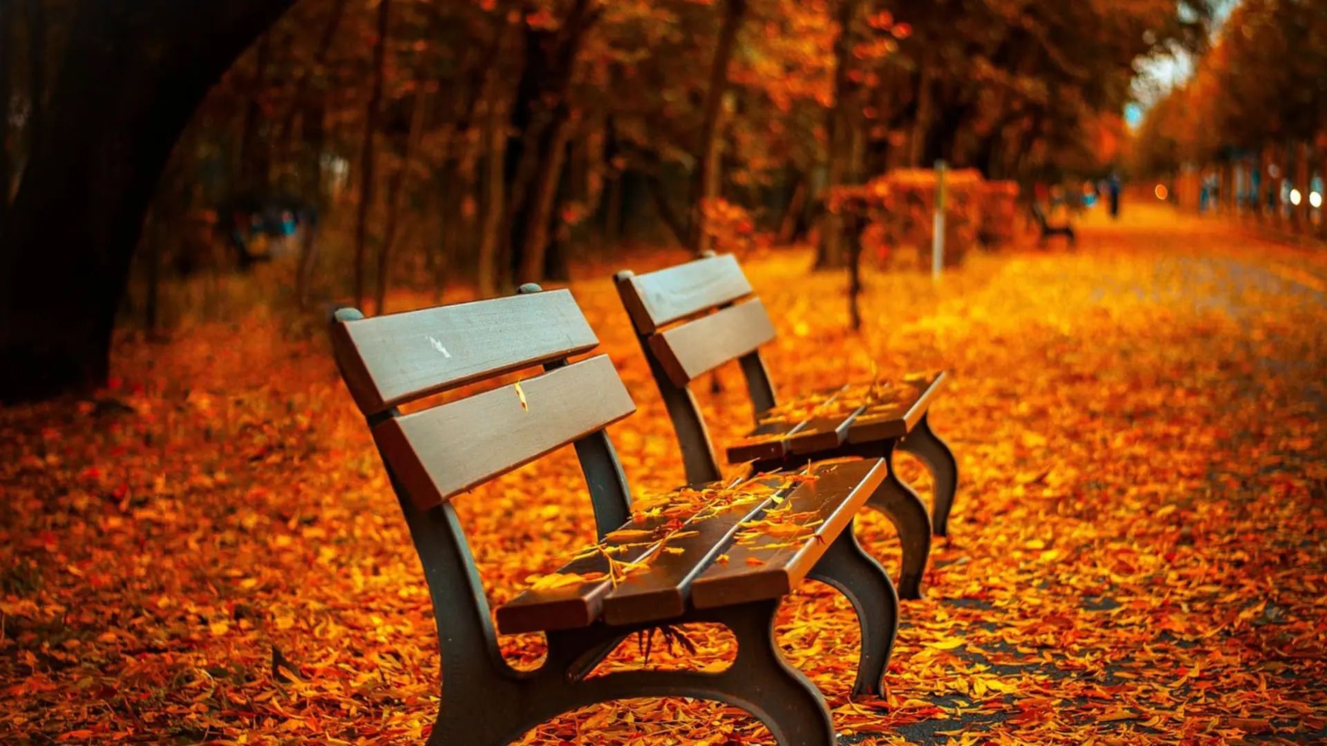 Benches 560435 1280 30