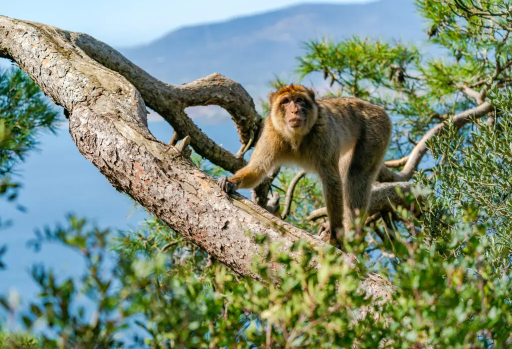 Marienhof Velden Aktivitaeten 6 Marienhof Velden Aktivitaeten 6